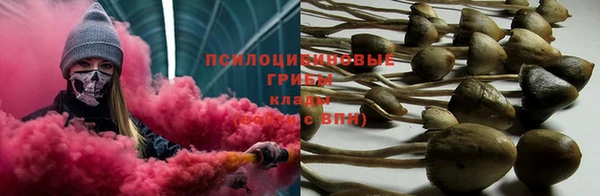 таблы Сосновка