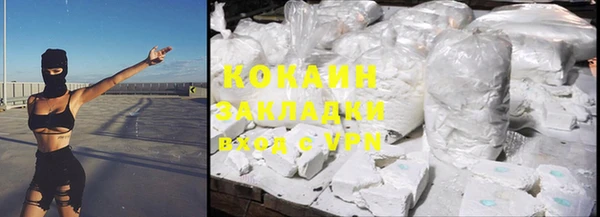ПСИЛОЦИБИНОВЫЕ ГРИБЫ Гусев