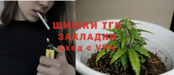 ПСИЛОЦИБИНОВЫЕ ГРИБЫ Гусев