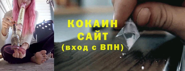 трава Гусиноозёрск