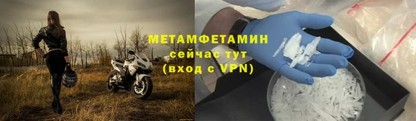 ПСИЛОЦИБИНОВЫЕ ГРИБЫ Гусев