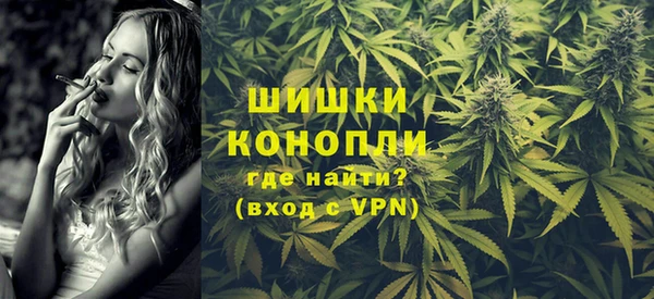 трава Гусиноозёрск