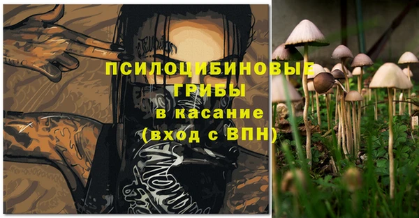 мескалин Дмитриев