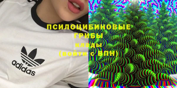 таблы Сосновка
