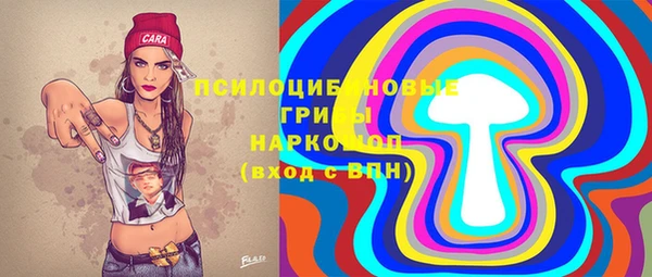 трава Гусиноозёрск