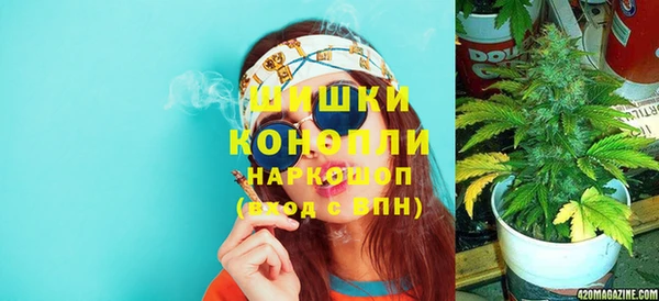 ПСИЛОЦИБИНОВЫЕ ГРИБЫ Гусев