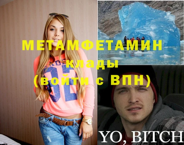 ПСИЛОЦИБИНОВЫЕ ГРИБЫ Гусев