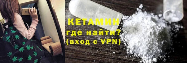 трава Гусиноозёрск