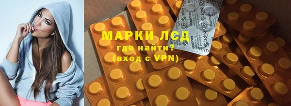 ПСИЛОЦИБИНОВЫЕ ГРИБЫ Гусев