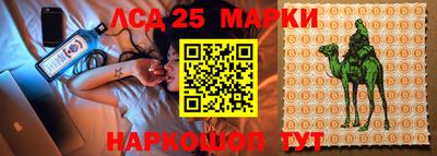 молекула духа Бийск