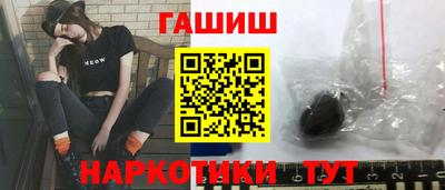 jwh Бийск