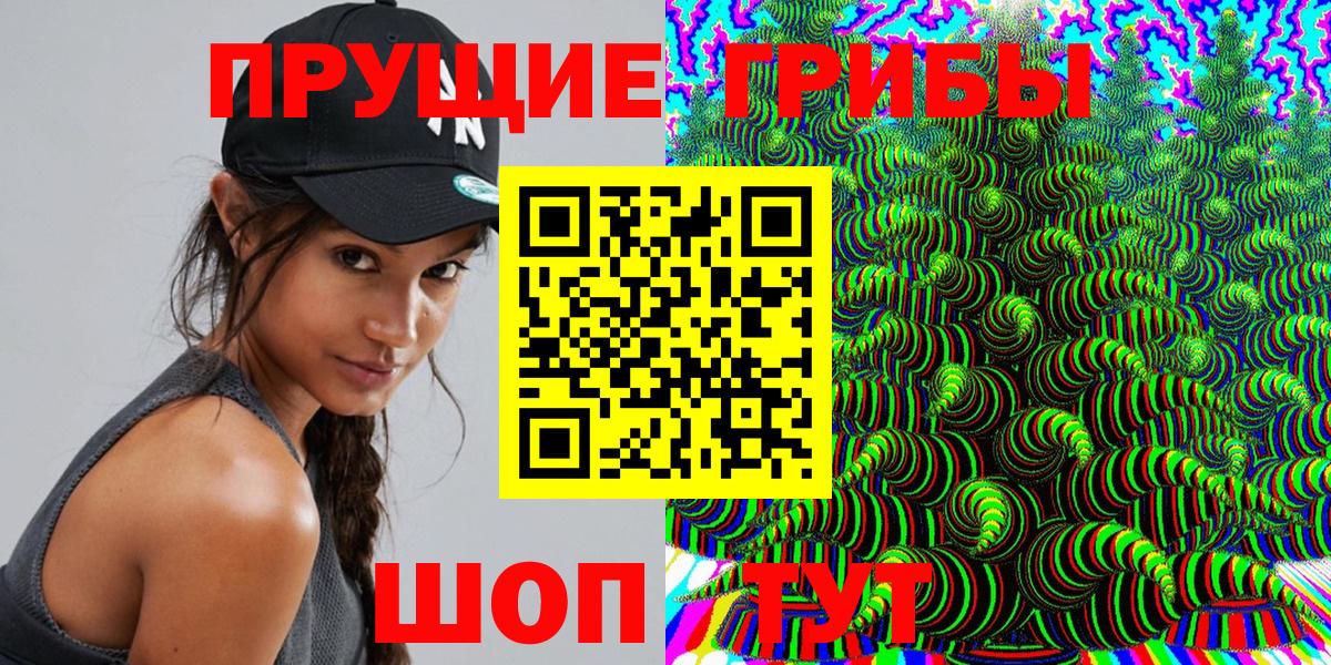 Псилоцибиновые грибы Psilocybe Губаха
