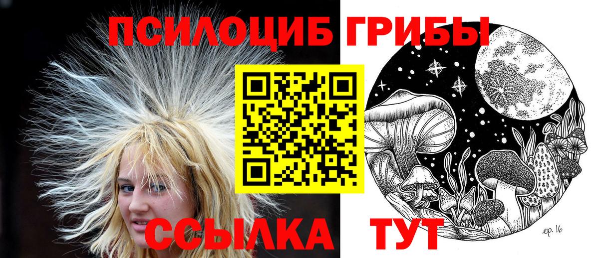 Губаха  Галлюциногенные грибы MAGIC MUSHROOMS  Вход с VPN 