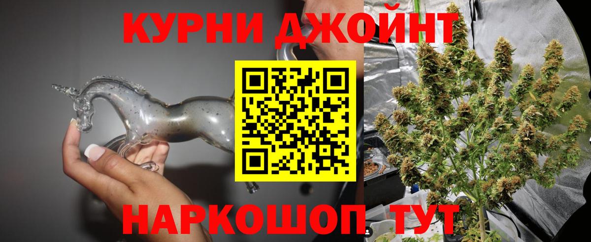 Марихуана сатива Губаха